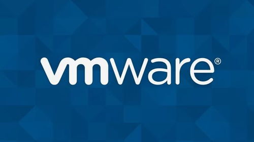 VMware虛擬機軟件 從下載到企業(yè)級應用指南